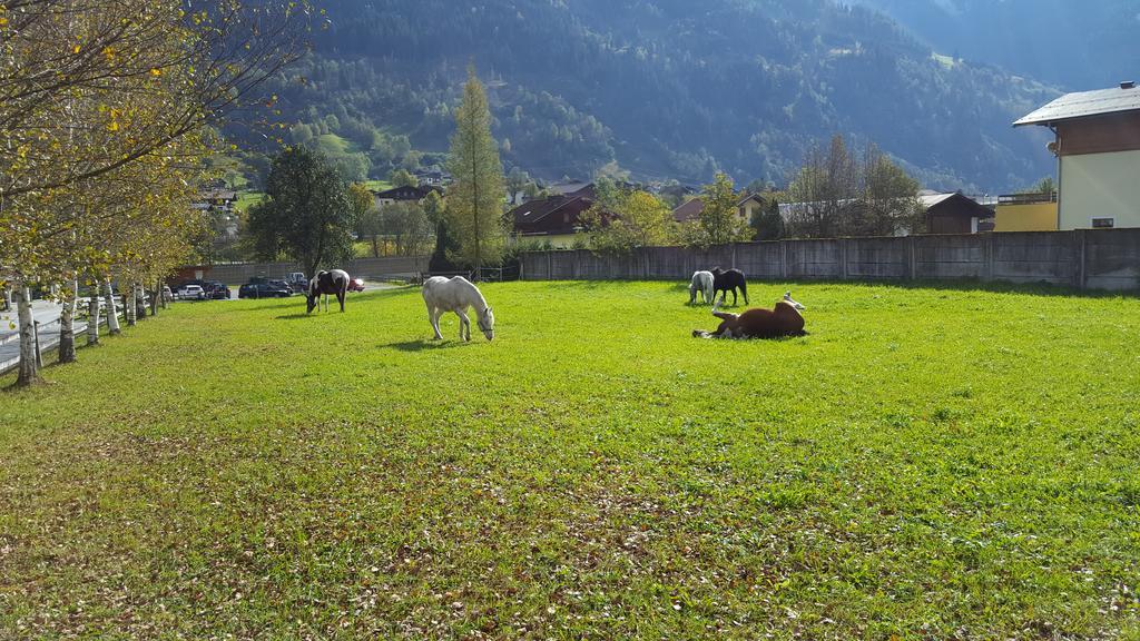 Apartamento Haus Habetseder Dorfgastein Exterior foto